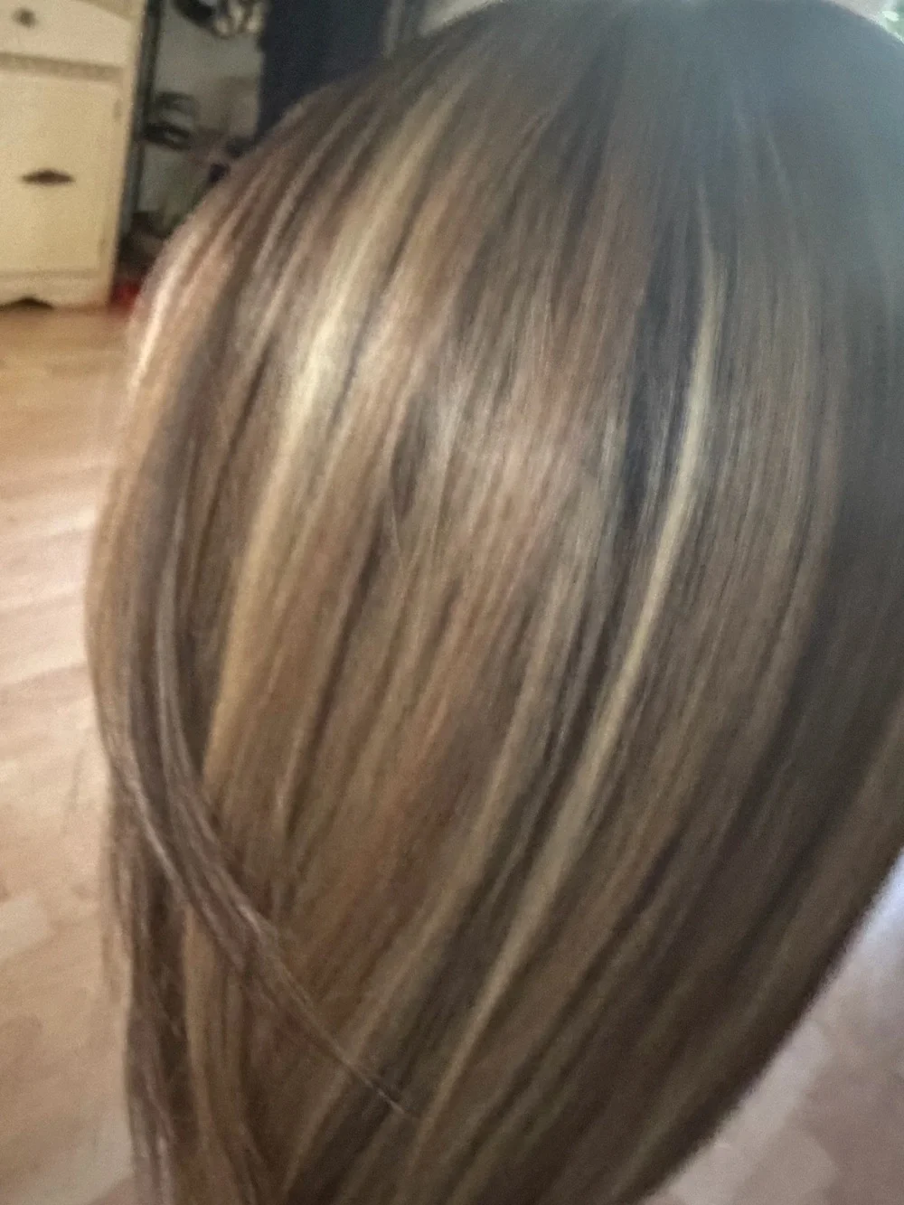 Long Layered Lace Front Wig in Brown with Blonde Highlights
